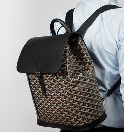 限定値下げ！GOYARD アルパン バックパック